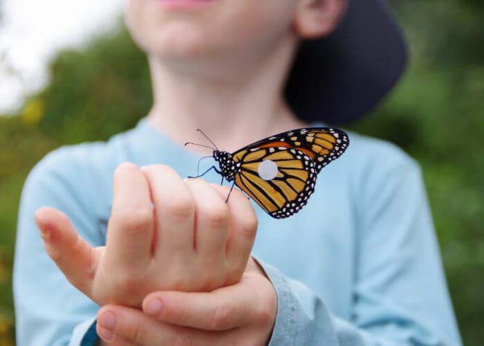 Monarch Butterfly Day