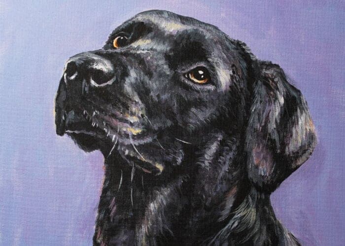 Paint Your Pet w/ Monet & Chardonnay