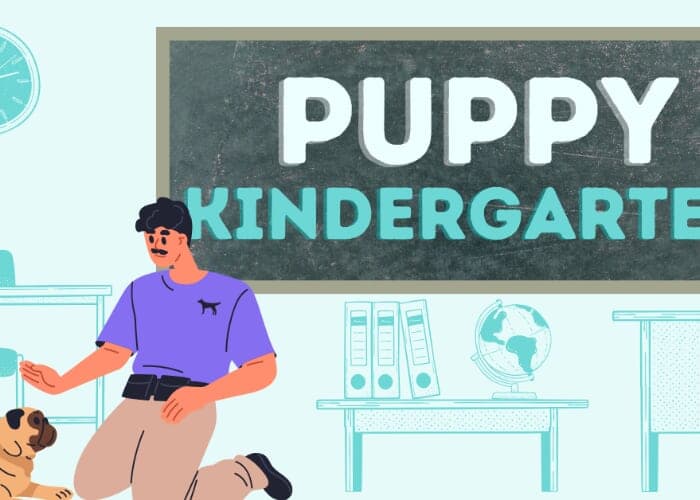 Puppy Kindergarten