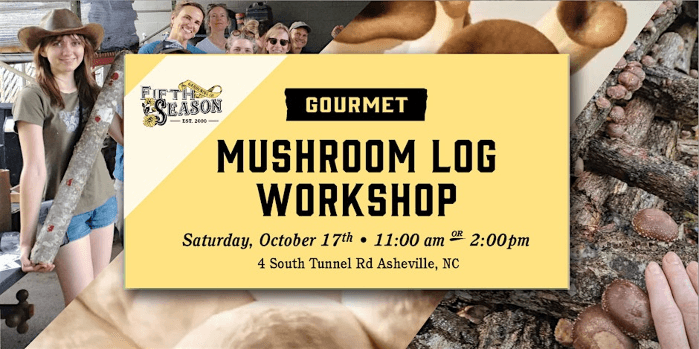 Mushroom Log Workshop: Grow gourmet mushrooms for years of harvests