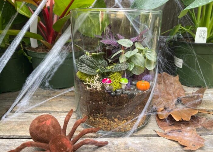 Spooky Terrarium Workshop Make & Take at Reems Creek Nursery