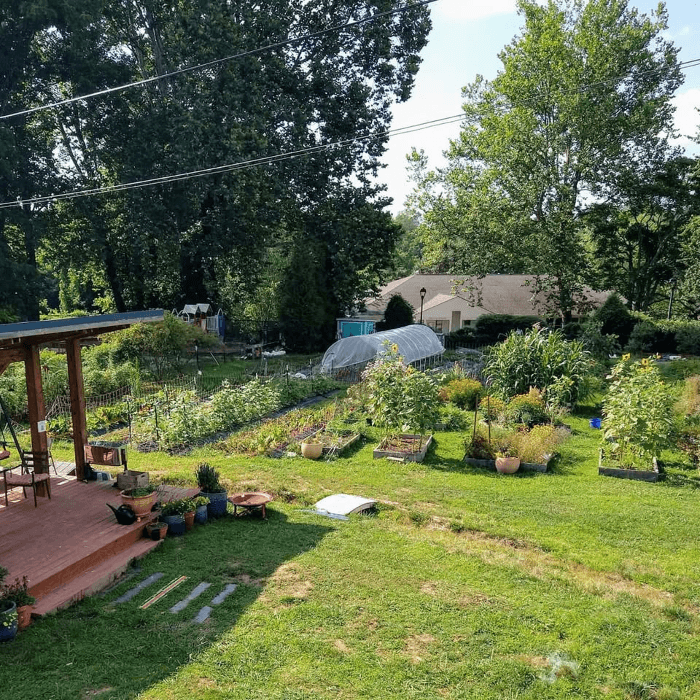 Spring Celebration + SCF Fundraiser