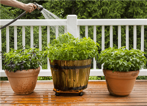 HERB OPEN CABIN