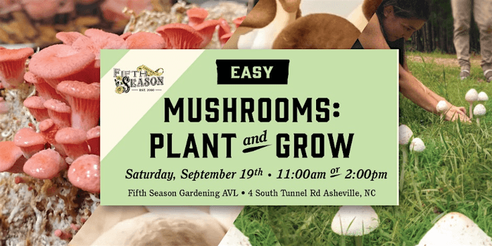 Plant & Grow Workshop: Easily Grow Gourmet and Medicinal Mushrooms