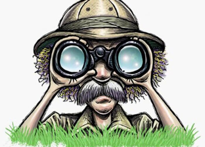 Weaverville Art Safari