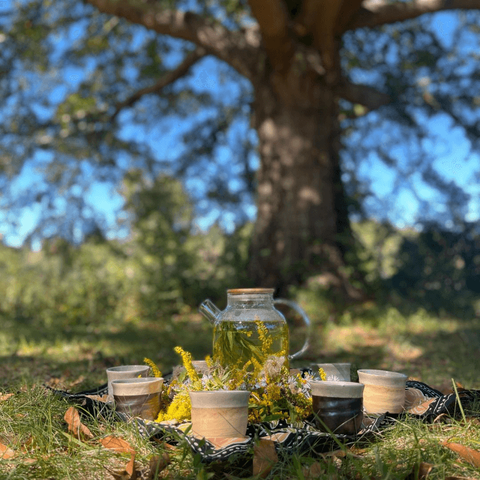 Forest Bathing Retreat: CommuniTEA Amongst the Trees