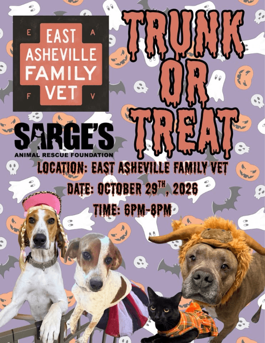 Trunk Or Treat