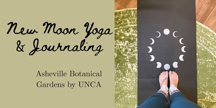New Moon in Virgo Yoga