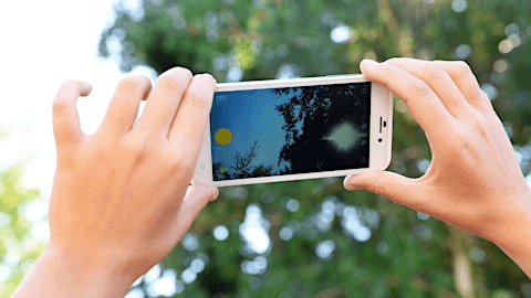 iNaturalist: An Amazing Tool for Identification in your Pocket