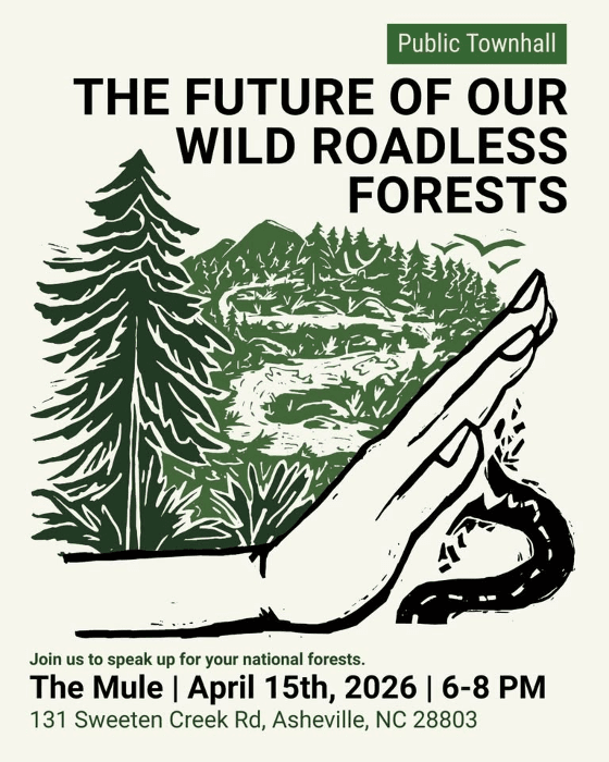 Roadless Rule Public Townhall