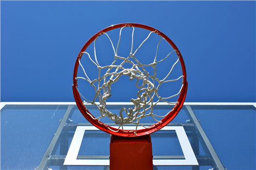North Carolina Asheville Bulldogs vs. Presbyterian Blue Hose