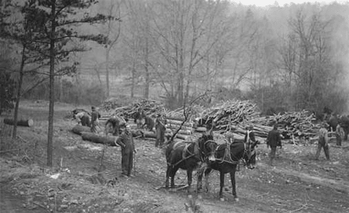 History and Archaeology of the Arboretum