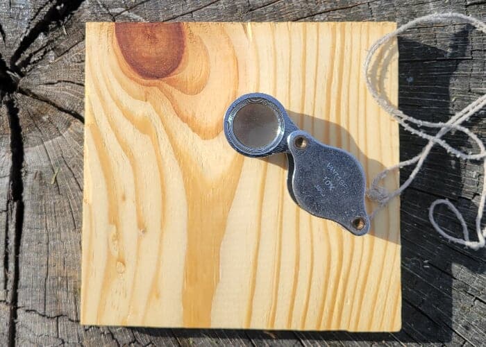 Wood ID from the Inside Out: Understanding Structure, Strength & Use