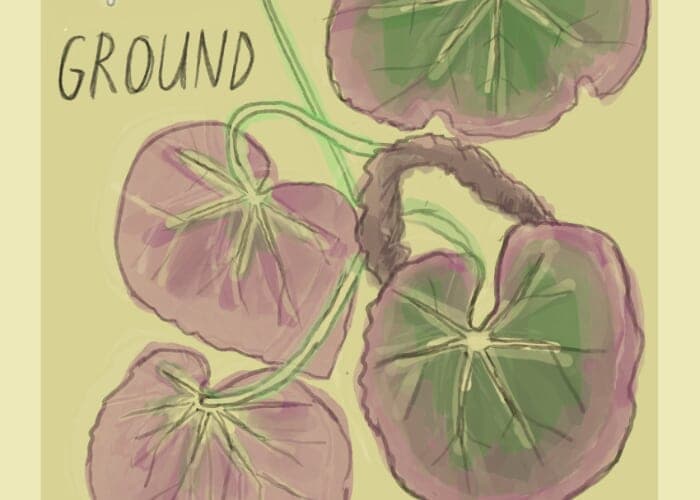 Ground Sound: Experimental Music Series