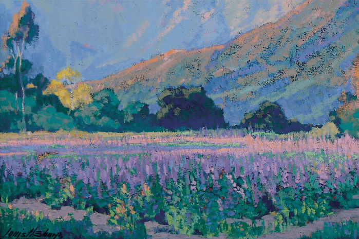 Community Day: "In a New Light"