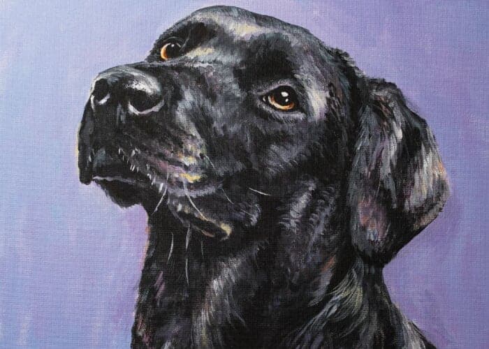 Paint Your Pet w/ Monet & Chardonnay