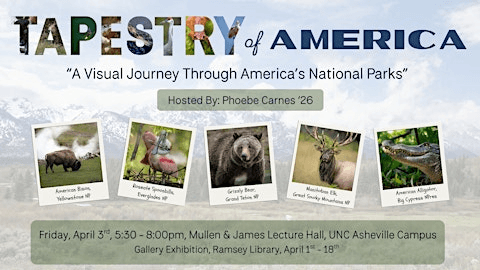 Tapestry of America: A Visual Journey Through America's National Parks