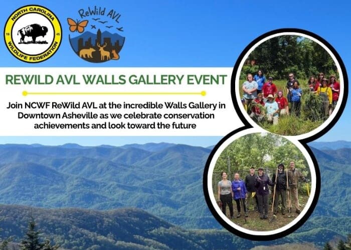 ReWild AVL Walls Gallery Event