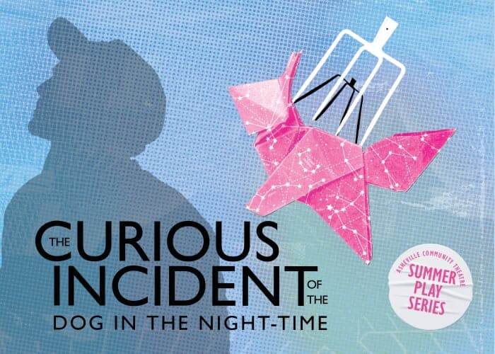 "The Curious Incident of the Dog in the Night-Time"