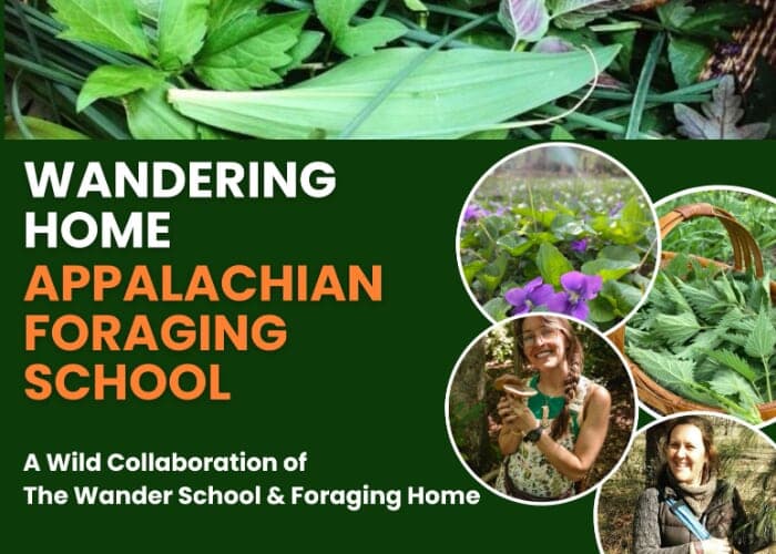 Appalachian Foraging School