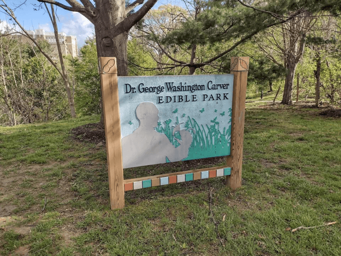 Dr. George Washington Carver Edible Park Workday