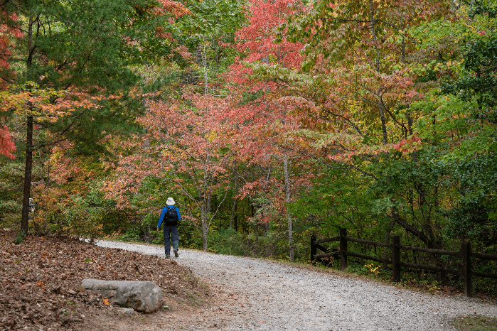 Fall Trail Day