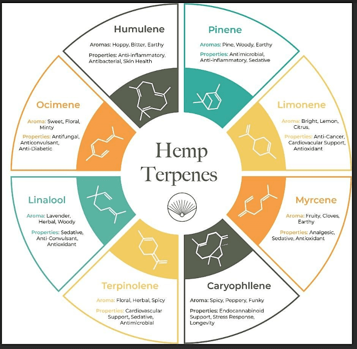 Terpene Talk