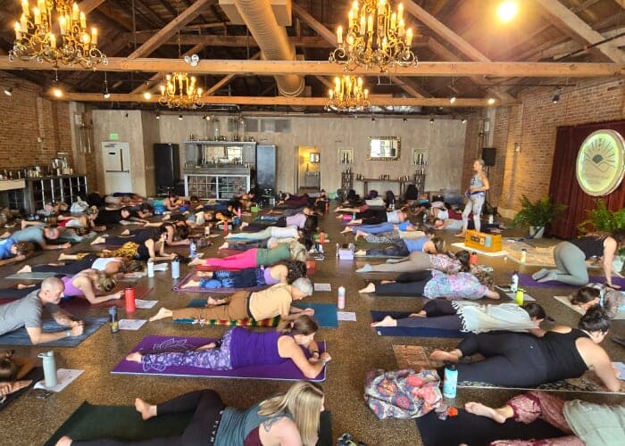 FreeBody Therapeutics: Hips and Hamstrings