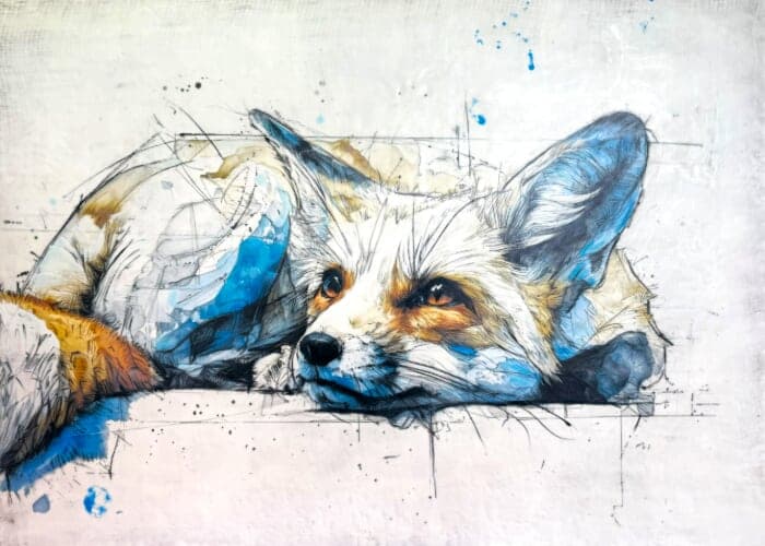 WILD: Echoes Of Nature