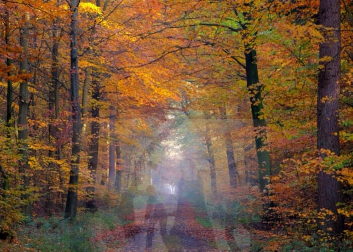 Fall Equinox Dance