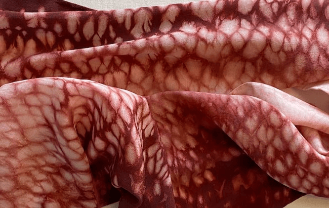 Shibori Fun 2 - Galaxita Workshop at SAHC Community Farm