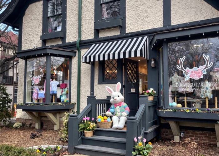 Dogwood Darlings Children's Boutique Grand Reopening Celebration