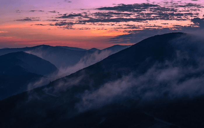 Seeing Light: Landscape Photography at the North Carolina Arboretum