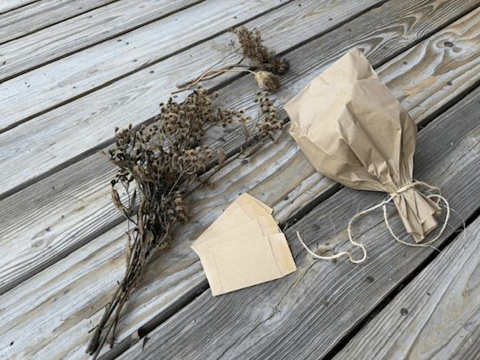 Collecting and Saving Seeds for Perennial Gardens Session #2