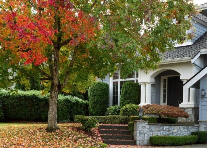 Preparing Your Garden for Fall & Winter at Reems Creek Nursery