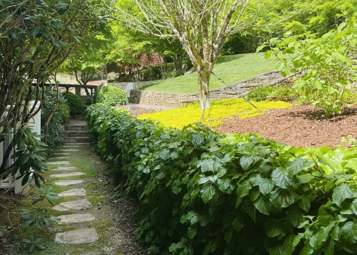 Welcome to WNC – Gardening in the Mountains Free Seminar