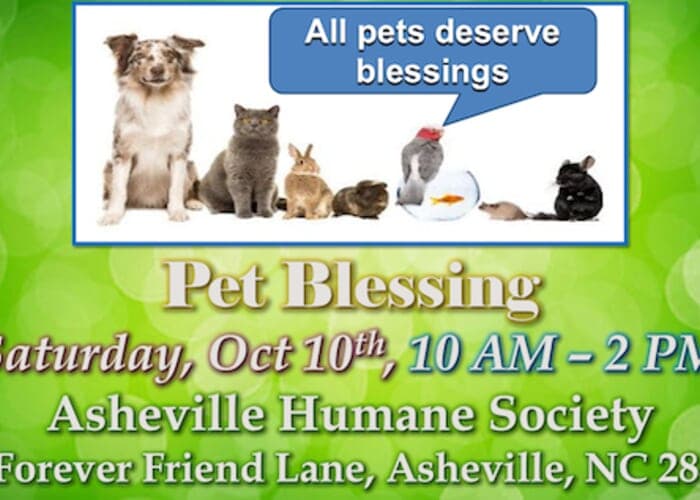 🐾 PET BLESSING 🐾