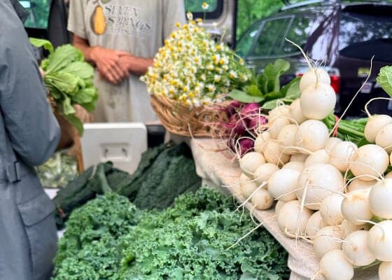 Farmers Market Pop Up