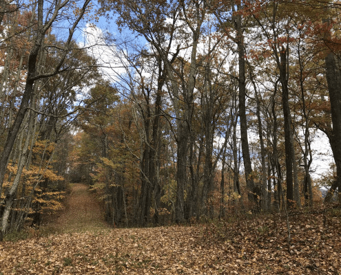 Rough Creek Watershed Hike