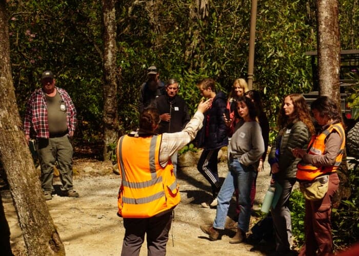 Hemlock Treatment Demonstration