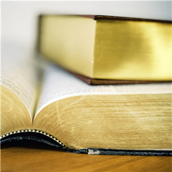 Library Preview: Mean Girls: High School Edition