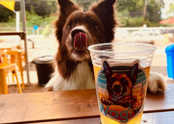 Tuesday Trivia Night at Wagbar