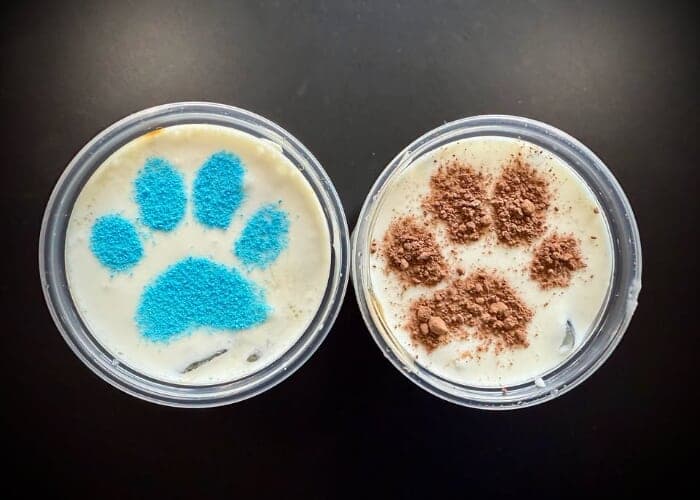 Bakeneko Festival Celebration at Pop Bubble Tea