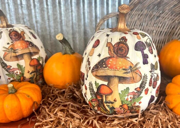 Forest-Themed Pumpkin: Make & Take Fall Decor at Reems Creek Nursery