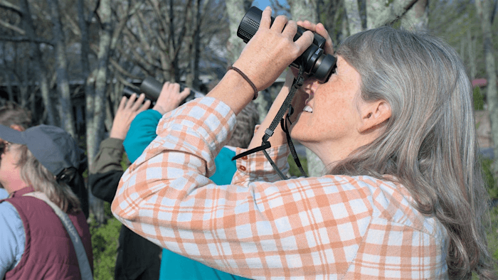 Birding for Beginners