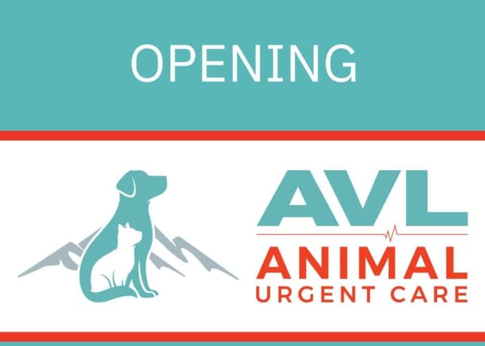 AVL Animal Urgent Care Grand Opening Celebration
