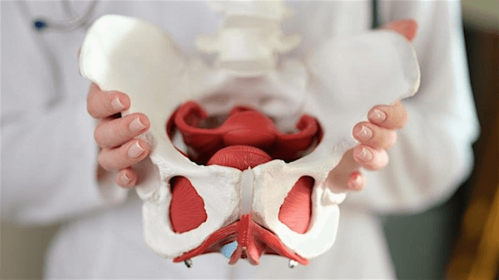 Physical and Occupational Therapy Collaboration Event