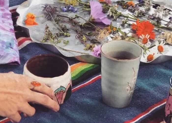 Winter Botany & Wild Foraged Tea w/ Marc Williams