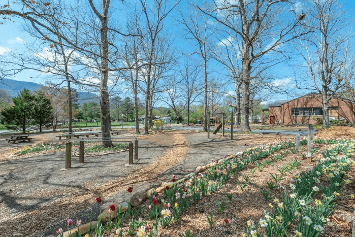 Grovemont Park Ecological Tour and Stewardship Planning Event
