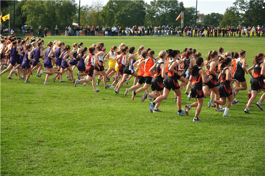 Cross Country - Boys - Varsity - Game NCISAA Division II Championship Meet - Away